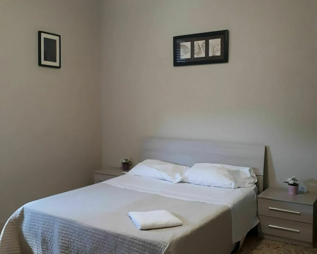48 Airport Budget Rooms Pisa