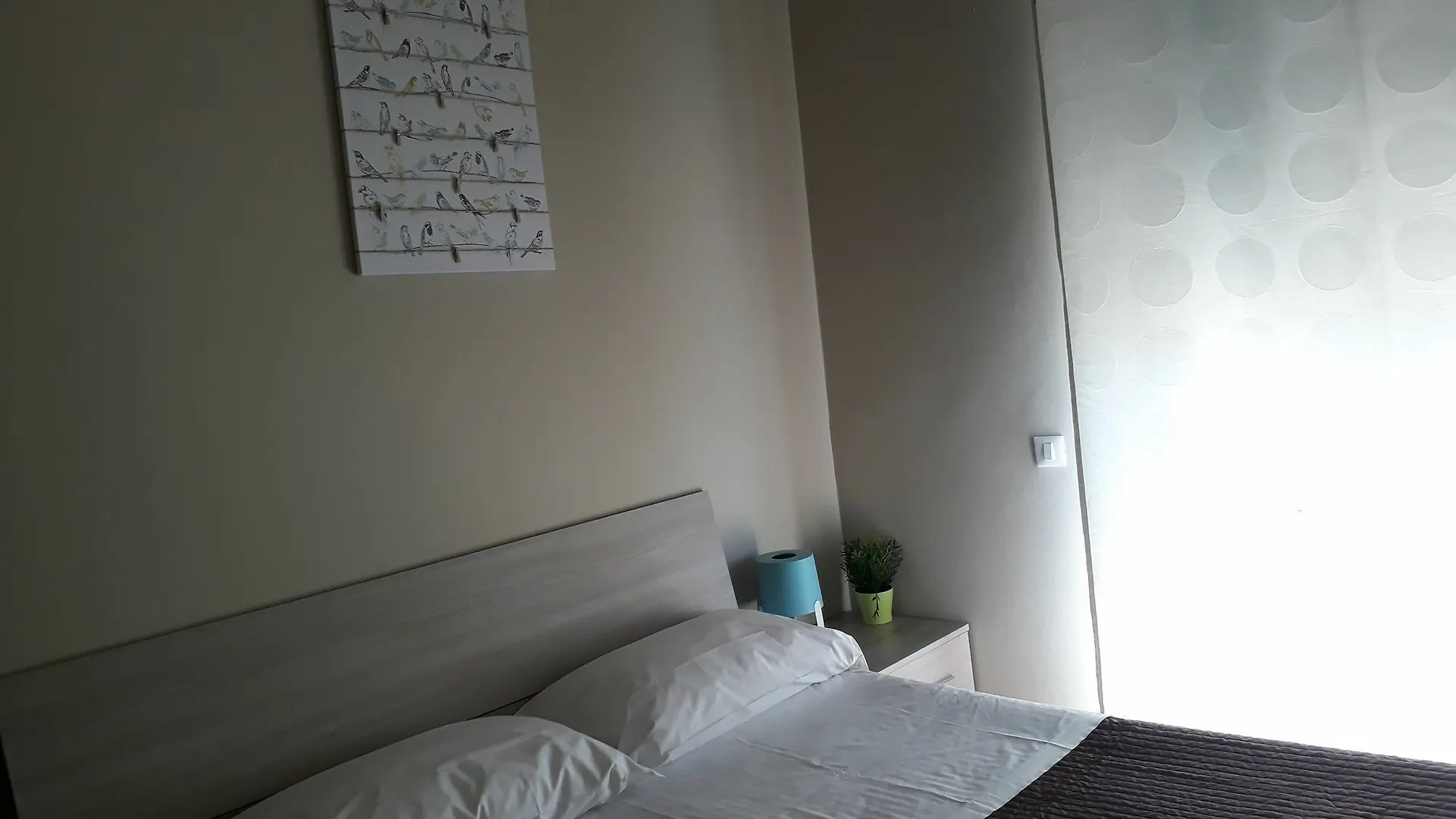 48 Airport Budget Rooms Pisa 4*,